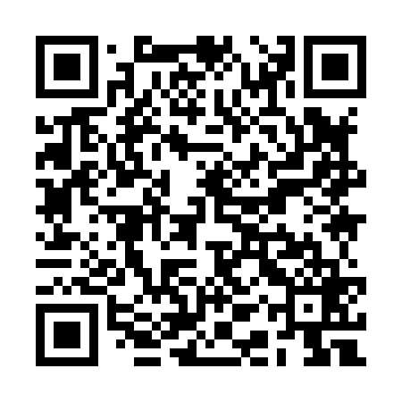 QR code for RAY869