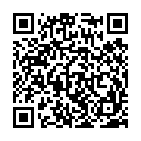 QR code for ROIF96