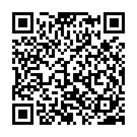 QR code for RSIM21