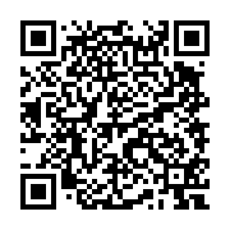QR code for RVN411