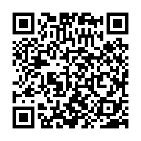 QR code for RYZ238