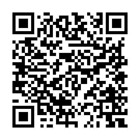 QR code for RZ595