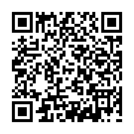 QR code for RZ995