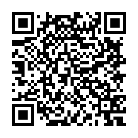 QR code for RZY875