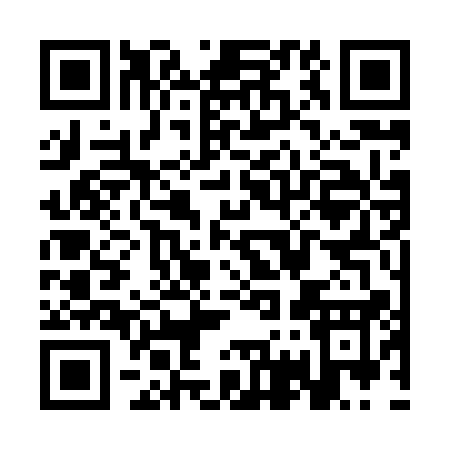 QR code for SG381