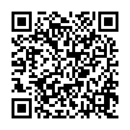 QR code for SGDI96