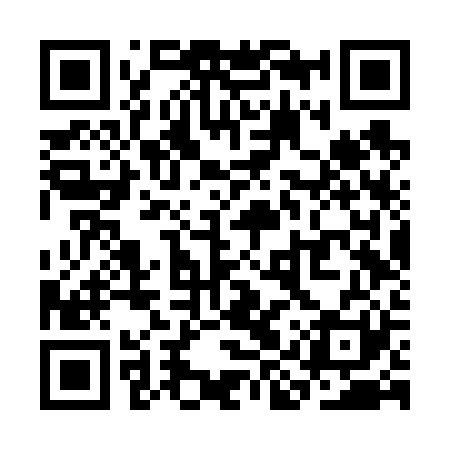 QR code for SIVV21