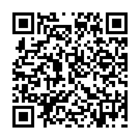 QR code for SLZZ95