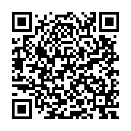 QR code for SMPE95