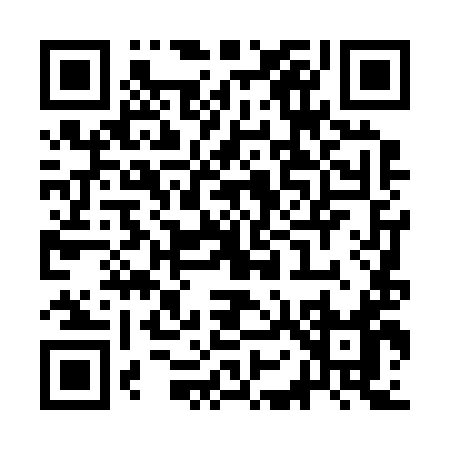 QR code for SO429