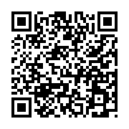 QR code for SP228