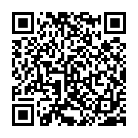 QR code for SSFU13