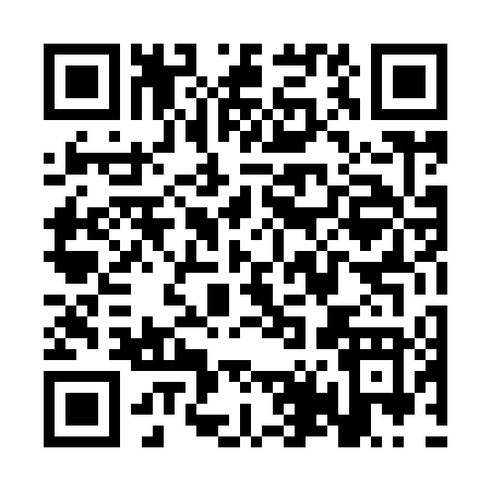 QR code for ST494
