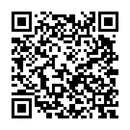 QR code for TDLT51