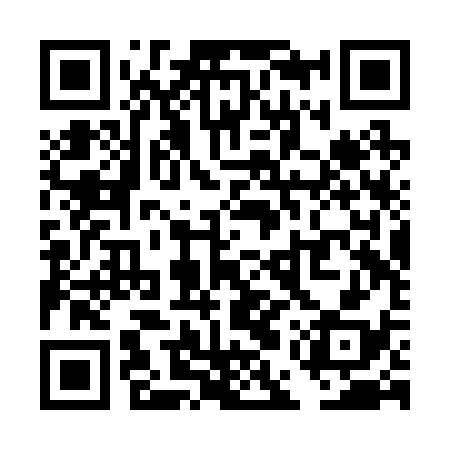 QR code for TERR38