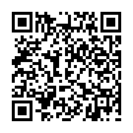 QR code for TIE373