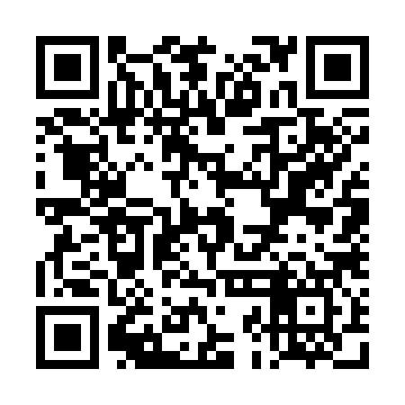 QR code for TJG387