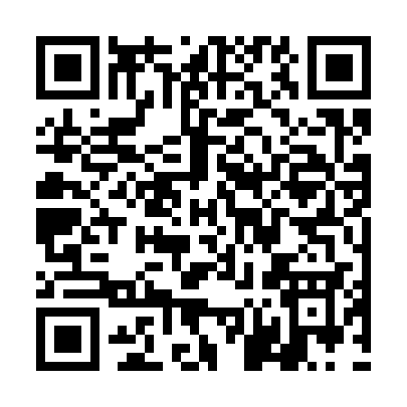QR code for TN333