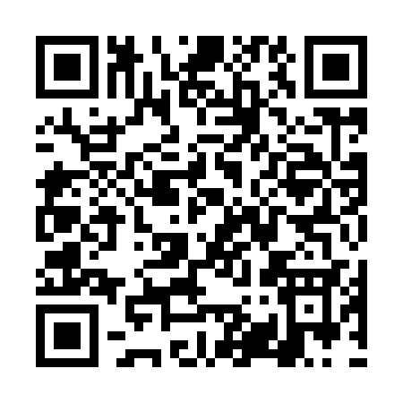 QR code for TY993