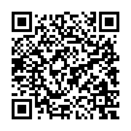QR code for TZ463
