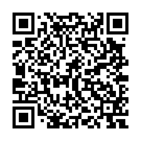 QR code for UDPP93