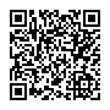 QR code for UN295