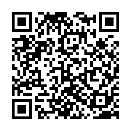 QR code for UPG911