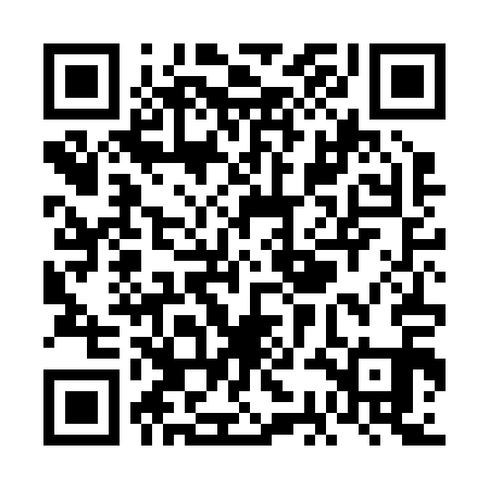 QR code for VCDB11