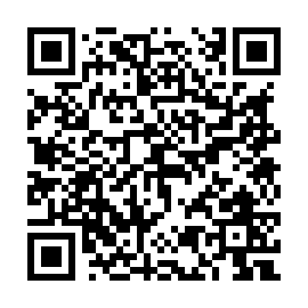 QR code for VE387