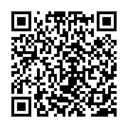 QR code for VIN011