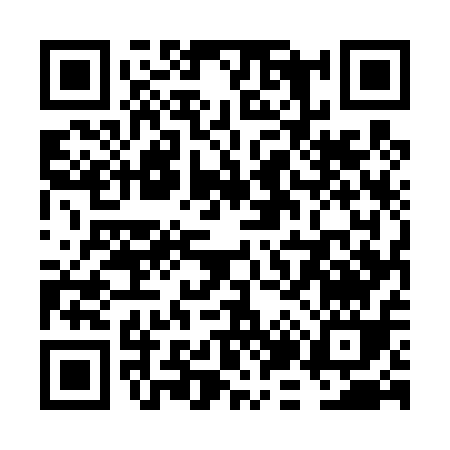 QR code for VJ541