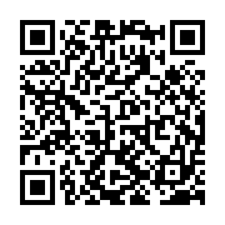 QR code for VJPH13