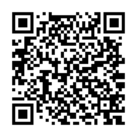 QR code for VLVU19