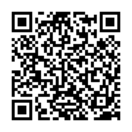 QR code for VNS033