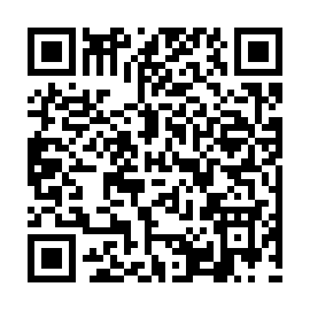 QR code for VP333