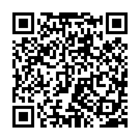 QR code for VPH499