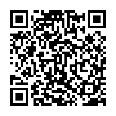QR code for VPZ101