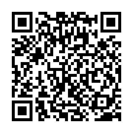 QR code for VSIO19