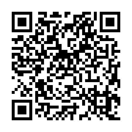 QR code for VV382