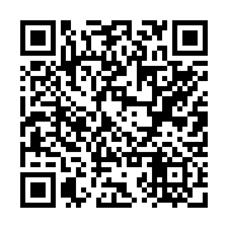 QR code for VZT239