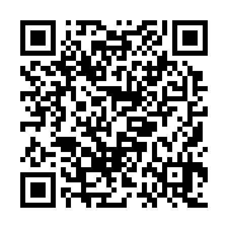 QR code for WBI334