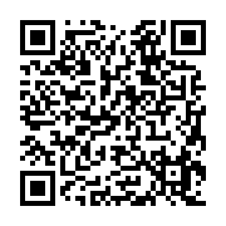 QR code for WI383