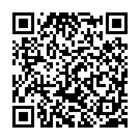 QR code for WIZ291