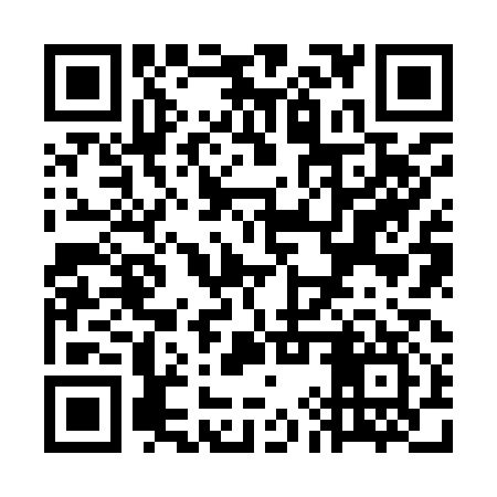 QR code for WIZ917