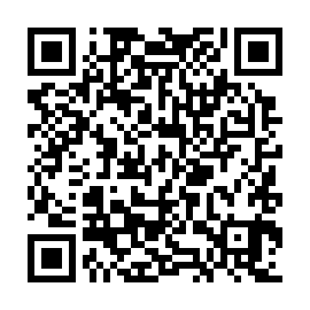QR code for WKT381