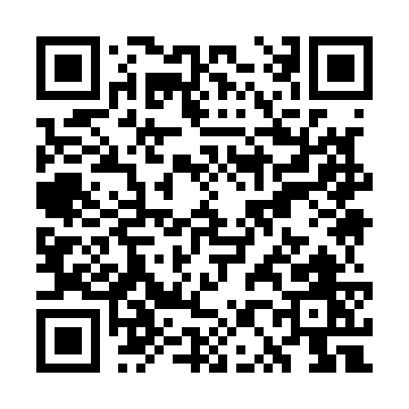 QR code for WP917