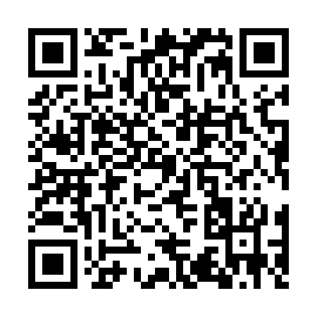 QR code for WS953