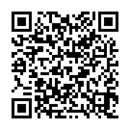 QR code for WSQM11