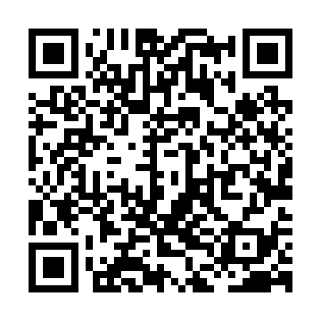 QR code for XDL239