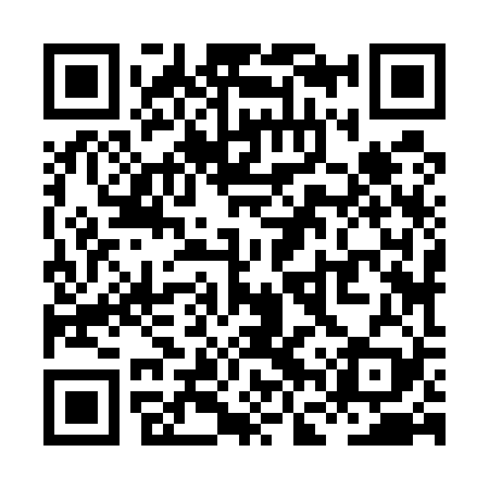 QR code for XFZ529
